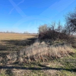 Парцел в с. Ягодово, Област Пловдив - 10693 кв.м за 10 €/кв.м - Снимка #1