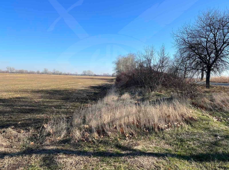 Парцел в с. Ягодово, Област Пловдив - 10693 кв.м за 10 €/кв.м - Снимка #1