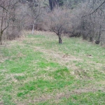 Парцел в Разлог - 470 кв.м за 51 €/кв.м - Снимка #1