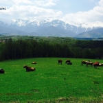 Парцел в Априлци - 1200 кв.м за 49 €/кв.м - Снимка #1