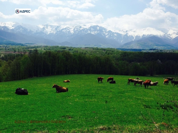 Парцел в Априлци - 1200 кв.м за 49 €/кв.м - Снимка #1