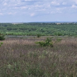 Парцел в Варна, Бриз - 7000 кв.м за 23 €/кв.м - Снимка #1