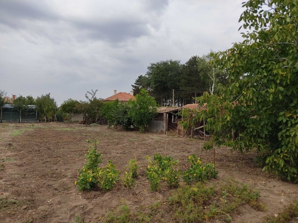 Парцел в с. Пленимир, Област Добрич - 970 кв.м за 6 €/кв.м - Снимка #1