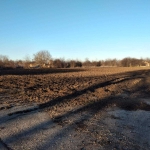 Парцел в с. Сърнино, Област Добрич - 8200 кв.м за 3 €/кв.м - Снимка #1