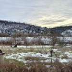 Парцел в Русе, Басарбово - 610 кв.м за 22 €/кв.м - Снимка #1