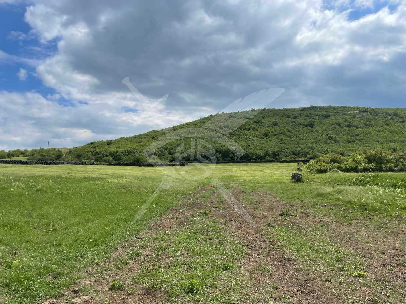 Парцел в с. Дюлево, Област Бургас - 1300 кв.м за 7 €/кв.м - Снимка #1