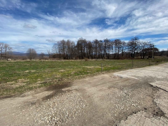 Парцел в Долна баня - 2100 кв.м за 22 €/кв.м - Снимка #1