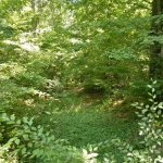 Земеделски имот в с. Близнаци, Област Варна -  кв.м за 3230 €/дка - Снимка #1