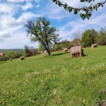 Парцел в с. Стефаново, Област Ловеч - 1000 кв.м за 8 €/кв.м - Снимка #1