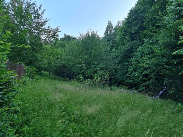 Парцел в Габрово, Бичкиня - 1200 кв.м за 2 €/кв.м - Снимка #1