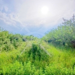 Парцел в Пловдив, Южен - 2004 кв.м за 52 €/кв.м - Снимка #1