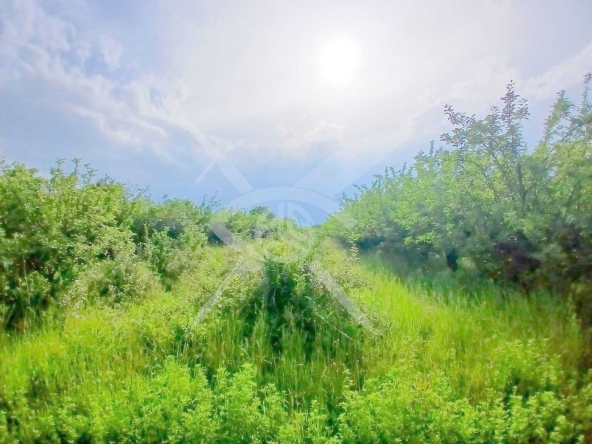 Парцел в Пловдив, Южен - 2004 кв.м за 52 €/кв.м - Снимка #1