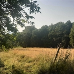 Парцел в Габрово, Бойката - 2599 кв.м за 9 €/кв.м - Снимка #1