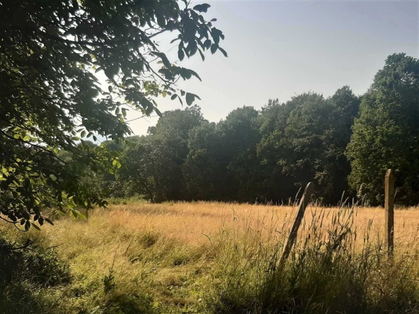 Парцел в Габрово, Бойката - 2599 кв.м за 9 €/кв.м - Снимка #1