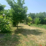 Парцел в с. Добриново, Област Бургас - 1150 кв.м за 7 €/кв.м - Снимка #1