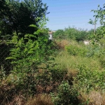 Парцел в с. Васил Левски, Област Търговище - 800 кв.м за 19 €/кв.м - Снимка #1