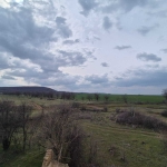 Парцел в с. Попица, Област Враца - 930 кв.м за 2 €/кв.м - Снимка #1