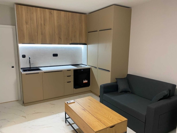 Дава се под наем Едностаен апартамент в София, Манастирски ливади - 45 кв.м за 459 € - Снимка #1