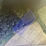 Земеделски имот в с. Голица, Област Варна -  кв.м за 2 €/дка - Снимка #1