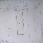 Земеделски имот в с. Чернооково, Област Добрич -  кв.м за 1530 €/дка - Снимка #1