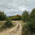 Земеделски имот в Троян -  кв.м за 2 €/дка - Снимка #1