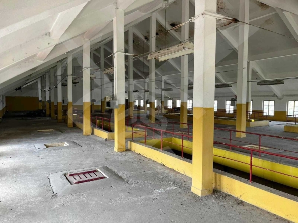 Промишлена сграда в Стамболийски - 1750 кв.м за 248 €/кв.м - Снимка #1