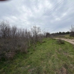 Парцел в с. Братя Даскалови, Област Стара Загора - 1150 кв.м за 4 €/кв.м - Снимка #1