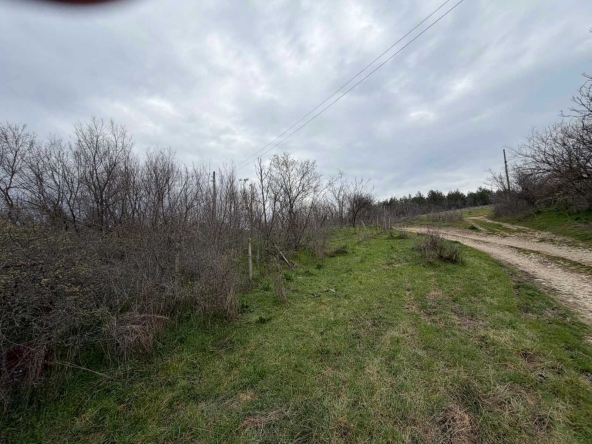 Парцел в с. Братя Даскалови, Област Стара Загора - 1150 кв.м за 4 €/кв.м - Снимка #1