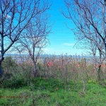 Парцел в Русе, в.з. Левента - 500 кв.м за 38 €/кв.м - Снимка #1