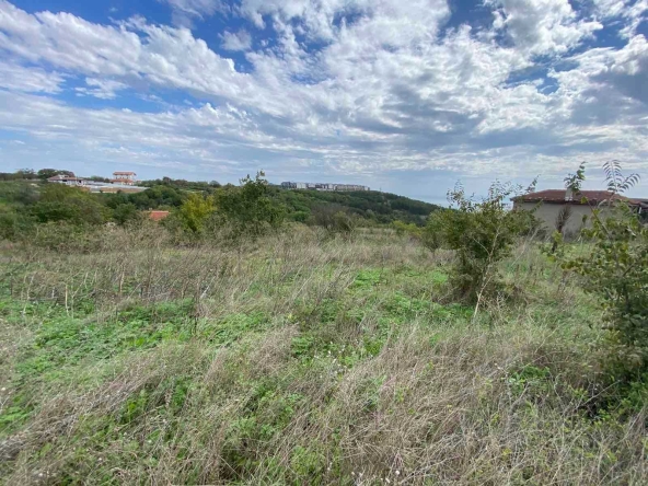 Парцел в с. Топола, Област Добрич - 1627 кв.м за 23 €/кв.м - Снимка #1