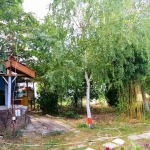 Парцел в с. Търнава, Област Ямбол - 1000 кв.м за 26 €/кв.м - Снимка #1