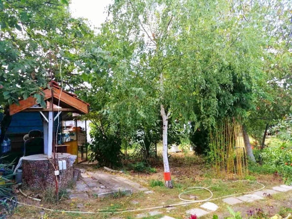 Парцел в с. Търнава, Област Ямбол - 1000 кв.м за 26 €/кв.м - Снимка #1