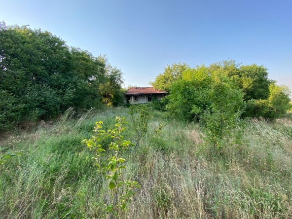 Парцел в Разград, Абритус - 2100 кв.м за 3 €/кв.м - Снимка #1
