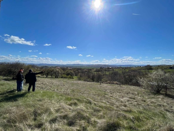 Парцел в София, Банишора - 2605 кв.м за 21 €/кв.м - Снимка #1