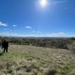 Парцел в София, Банишора - 2605 кв.м за 21 €/кв.м - Снимка #1