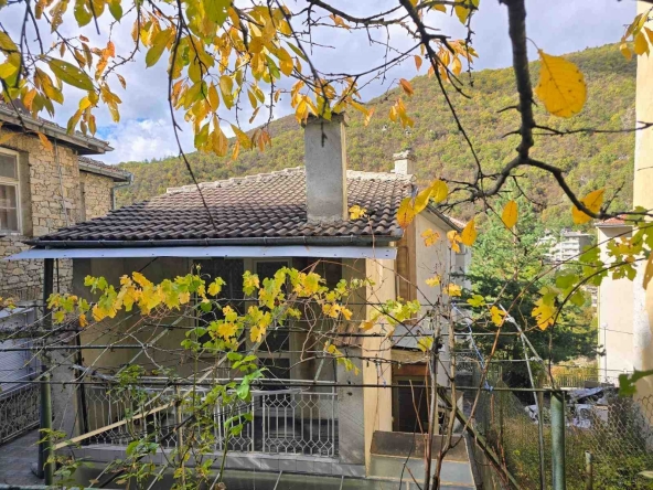 Къща в с. Нареченски бани, Област Пловдив - 210 кв.м за 185 €/кв.м - Снимка #1