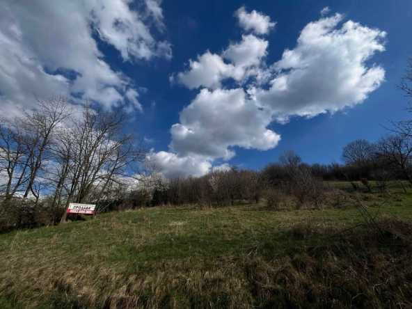 Парцел в с. Кралев дол, Област Перник - 5768 кв.м за 26 €/кв.м - Снимка #1