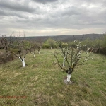 Парцел в с. Николово, Област Русе - 487 кв.м за 11 €/кв.м - Снимка #1