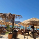 Парцел в София, Гео Милев - 1000 кв.м за 128 €/кв.м - Снимка #1