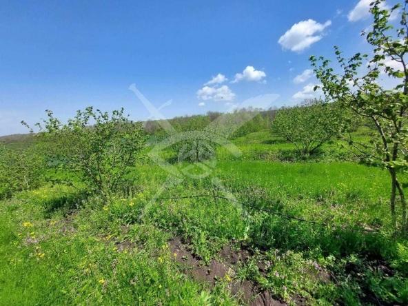 Парцел в с. Драчево, Област Бургас - 27000 кв.м за 2 €/кв.м - Снимка #1