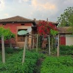 Къща в Плиска - 96 кв.м за 319 €/кв.м - Снимка #1