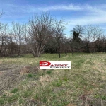 Парцел в с. Ново село, Област Велико Търново - 1500 кв.м за 8 €/кв.м - Снимка #1