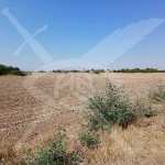 Парцел в с. Желязно, Област Пловдив - 4000 кв.м за 33 €/кв.м - Снимка #1