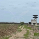 Земеделски имот в с. Цалапица, Област Пловдив -  кв.м за 3 €/дка - Снимка #1