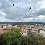 Четиристаен апартамент в Велико Търново, Акация - 135 кв.м за 1052 €/кв.м - Снимка #1