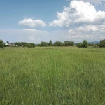 Парцел в с. Белчински бани, Област София-област - 7000 кв.м за 13 €/кв.м - Снимка #1