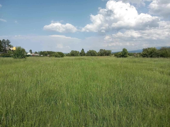 Парцел в с. Белчински бани, Област София-област - 7000 кв.м за 13 €/кв.м - Снимка #1