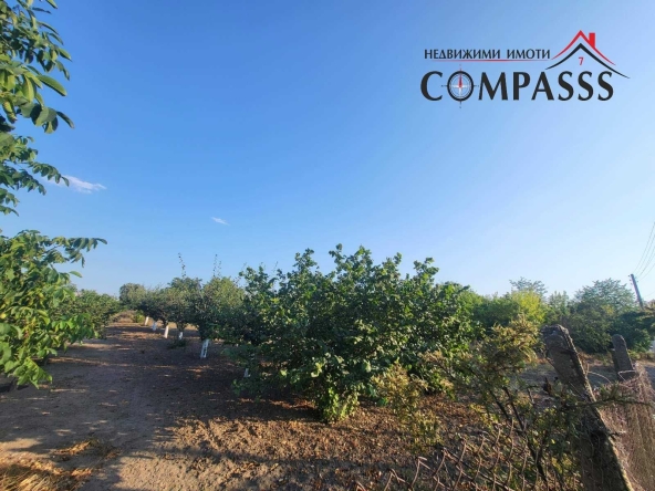 Парцел в с. Методиево, Област Добрич - 1250 кв.м за 8 €/кв.м - Снимка #1