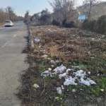 Парцел в Силистра, Север - 2142 кв.м за 19 €/кв.м - Снимка #1