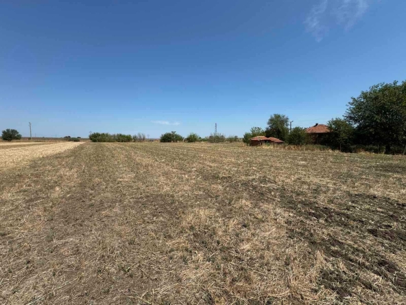 Парцел в с. Бяла река, Област Пловдив - 4200 кв.м за 9 €/кв.м - Снимка #1